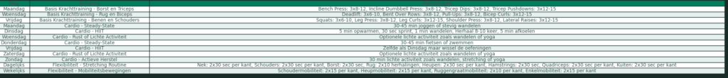Voorbeeld trainingsschema